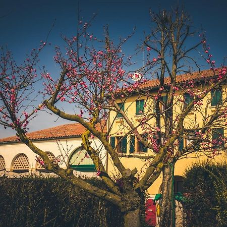Villa Le Vigne Morosina Cessalto Exterior foto