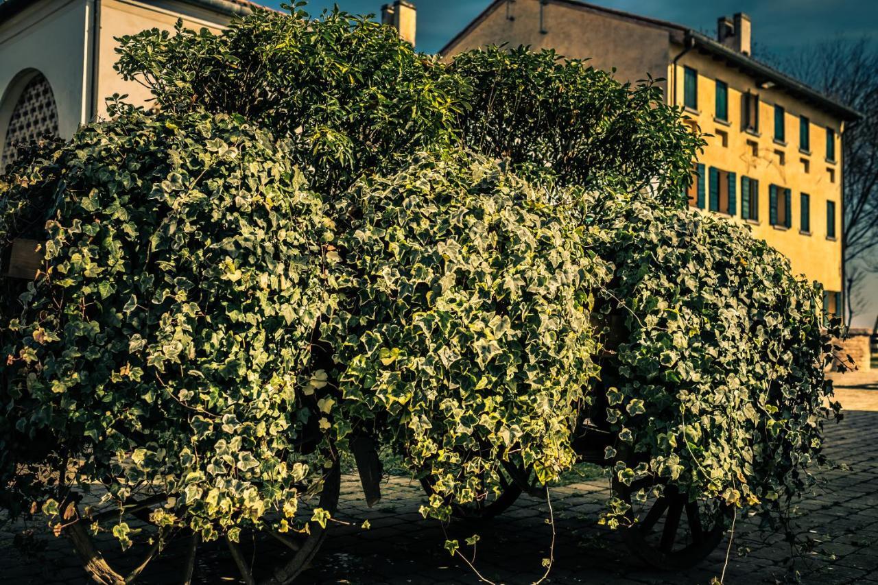 Villa Le Vigne Morosina Cessalto Exterior foto