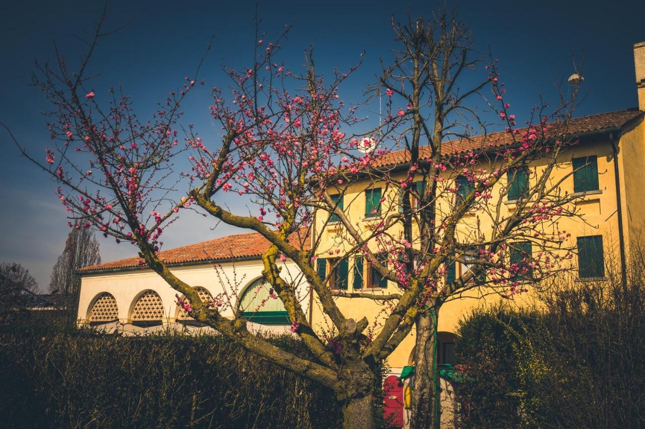 Villa Le Vigne Morosina Cessalto Exterior foto